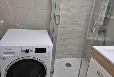 Garsonieră decomandată în Turnișor - 8