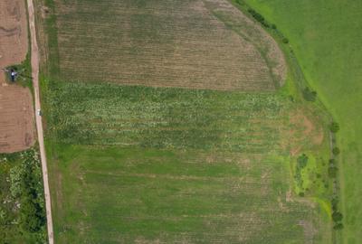 BALOTESTI - SAFTICA, TEREN INTRAVILAN 500 MP, DESCHIDERE 21 - 4