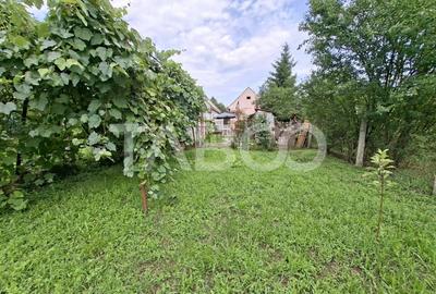 Casa individuala de vanzare - Gh. Asachi 531 teren acces auto - Sibiu - 18