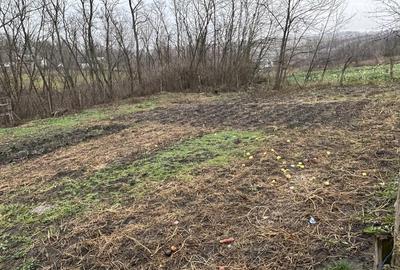 Casă în George Enescu - 2