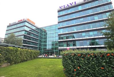 Birou, 9860 mp în Barbu Văcărescu