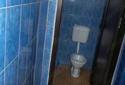 Spațiu comercial, de 450 mp, în Boțârlău - 2