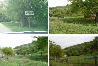Teren extravilan-Loc. Roscani, comuna Dobra, judetul Hune... - 5