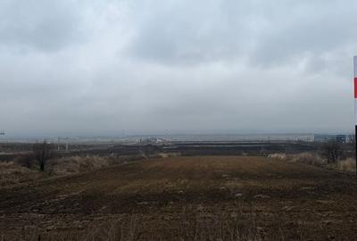 Teren de 12500 mp, în Nicolae Bălcescu - 3