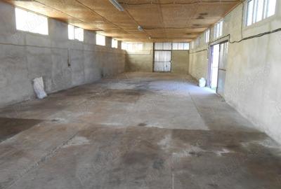 Spațiu comercial, de 250 mp, în Ineu - 7