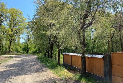 Casă cu Teren 12200 Mp în Cârlig - 5