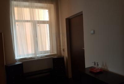Apartament cu 3 camere semidecomandat, mobilat în Parcul Carol - 10