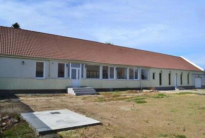 Casa Peciu Nou renovata 270 mp utili,4330 mp teren front 25 ml - 2