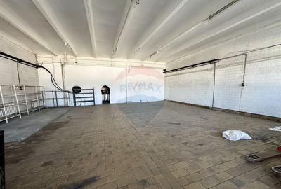 Hale Brailei Plus Frig - 1