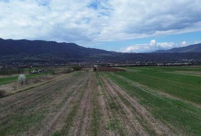 Teren de 6581 mp, în Jiblea Nouă - 2