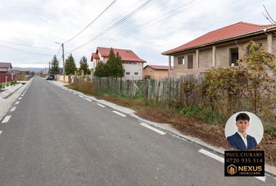 Teren Construcții intravilan de 3942 mp, în Nicolae Bălcescu - 2