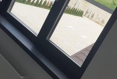 Garsonieră nedecomandată în Vișan - 6