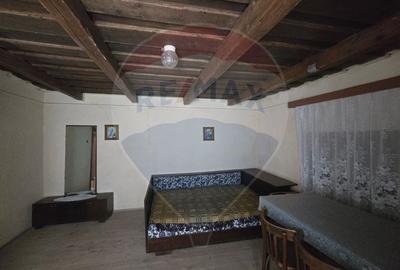 Casă cu 7 camere cu Teren 5175 Mp în Vințu de Jos - 14