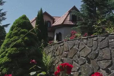 Vila de vanzare in Campina - Lunca Mare, teren 16500 MP - 3