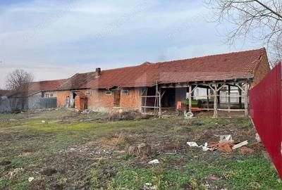 Casă cu 3 camere cu Teren 3000 Mp în Central - 4