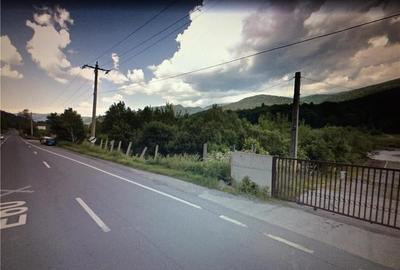 Teren de 1500 mp, în Sud - 5