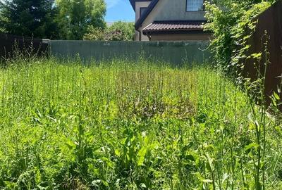 Duplex cu 4 camere cu Canalizare în Mogoșoaia - 6