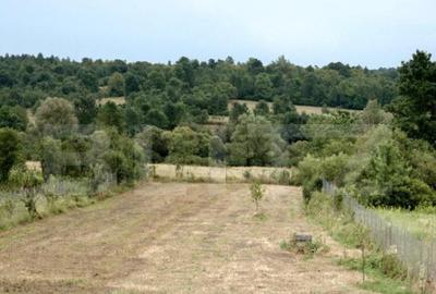 Casa de vacan?a, Brestova? Casa de vacan?a, Brestova? - 31