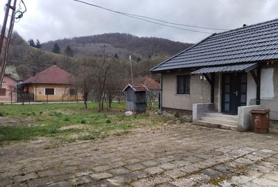 Casă cu 2 camere în Rusca - 8