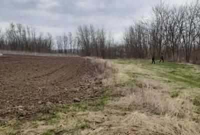 Spațiu comercial, în Rădăuți-Prut - 2