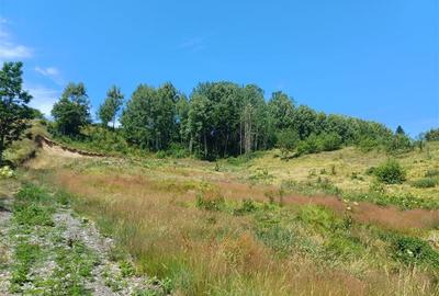 Teren Construcții intravilan de 6889 mp, în Brebu Nou - 5