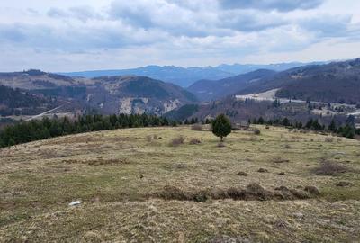 Spațiu comercial, în Lupșa - 5