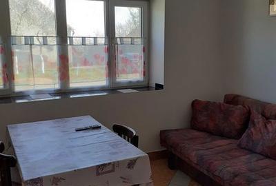 Casă cu 2 camere cu Teren 180 Mp în Sintea Mare - 5