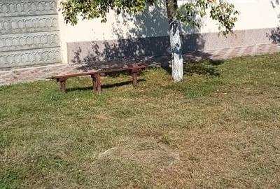 Casă cu 3 camere în Sânandrei - 1