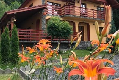 Oferta casa de vacanta P+1+M cu 1700mp teren, in Gura Raului - 2