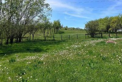 Casă cu Teren 3000 Mp în Central - 2
