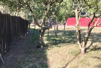 Casa batraneasca 20.000 euro - 1