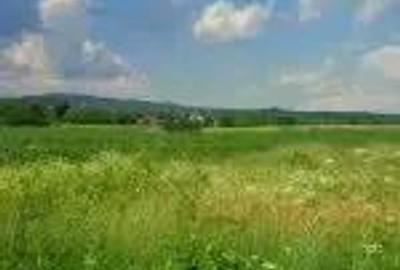 Teren de 3300 mp, în Urleta - 3