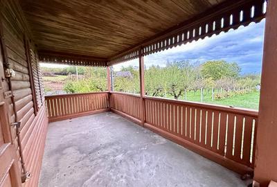 CABANA DE VANZARE, ARDUD-VII - 2