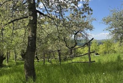 Casă cu 1 camere cu Teren 43 Mp în Cepari - 5