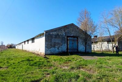 Spațiu industrial, 793 mp în Rediu