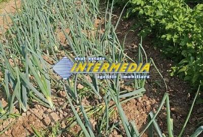 Teren Construcții intravilan de 1002 mp, în Ampoița - 1
