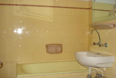 Apartament cu 2 camere decomandat în Dacia - 4