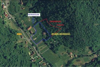Teren, padure si casa in Dumbrava de Jos, jud. Hunedoara - 11