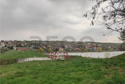 Teren de 2900 mp, în Paleu - 3