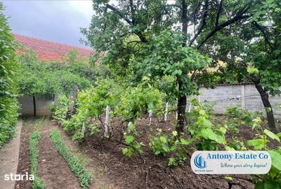 Casă cu 3 camere cu Teren 500 Mp în Rogerius - 6