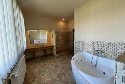 Hala productie P+1 si apartament de serviciu Navodari - c-tie beton - 2