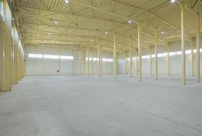Inchiriere depozit/hala/spatiu industrial Otopeni - Centura - 6