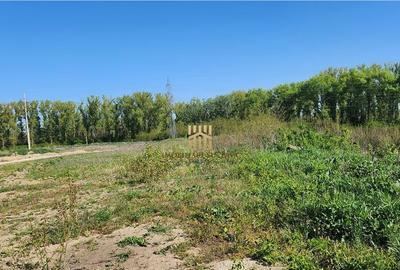 Teren de 180000 mp, în Șcheia - 1