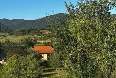 Casă cu 2 camere cu Teren 4000 Mp în Budureasa - 7