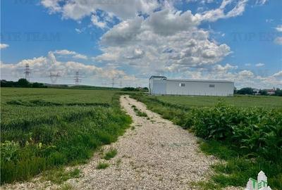 Ultimul lot / Teren industrial de vanzare pentru hale langa A0 / Bragadiru Ultimul lot / Teren industrial de vanzare pentru hale langa A0 / Bragadiru - 1