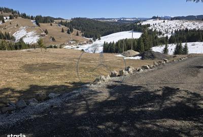 Spațiu comercial, în Piatra - 4