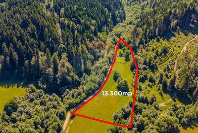 COMISION 0% Teren Bradet 7300 + 6000 mp/ Sacele /Intravilan - 5