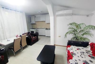 Inchiriere apartament 2 camere in vila, pet friendly - 2