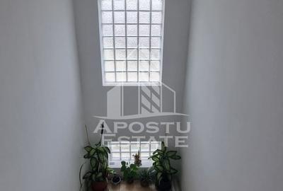 Casă individuală cu 6 camere cu Teren 2712 Mp în Dudeștii Noi - 8