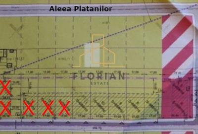Teren Intravilan Construibil Giarmata-Vii  -str. Teilor- - 4